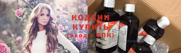 прущие грибы Нягань