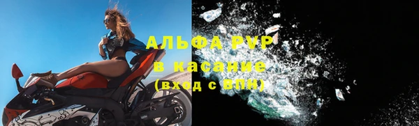прущие грибы Нягань