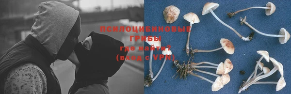 Альфа ПВП Нязепетровск