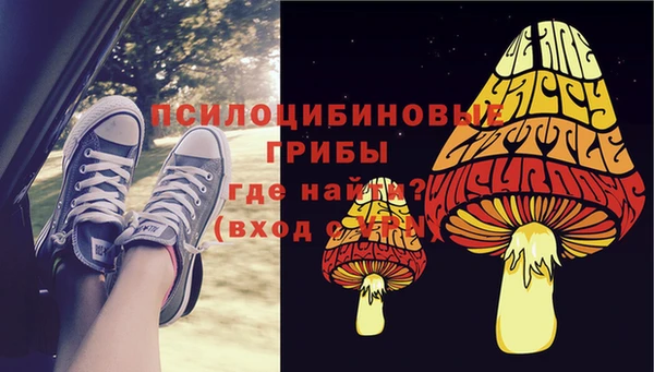 прущие грибы Нягань