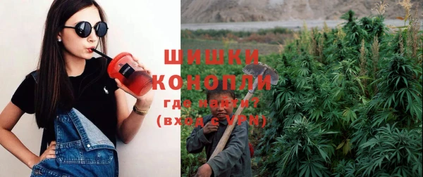 прущие грибы Нягань