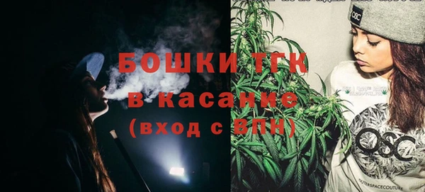 прущие грибы Нягань
