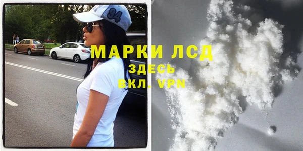 прущие грибы Нягань
