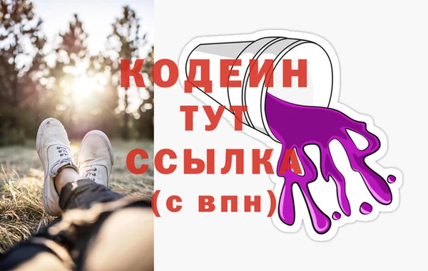 прущие грибы Нягань