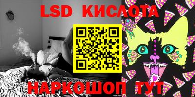 прущие грибы Абинск