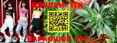 тгк Абинск