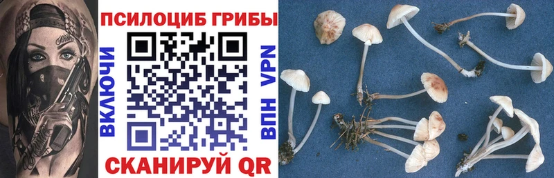 Галлюциногенные грибы GOLDEN TEACHER  блэк спрут ССЫЛКА  Абинск  магазин   