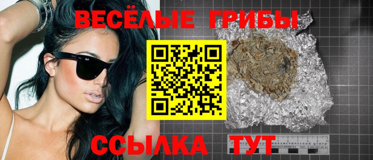 Галлюциногенные грибы Psilocybine cubensis Абинск