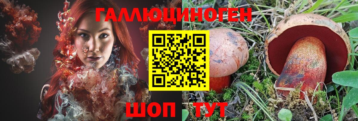 Галлюциногенные грибы Cubensis  Абинск 