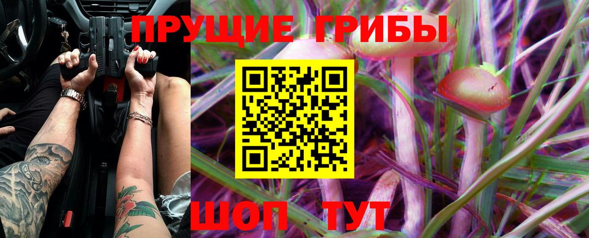 Галлюциногенные грибы Cubensis  Псилоцибиновые грибы Psilocybe  Абинск  Вход с VPN 